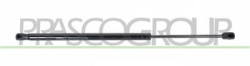 MOLLA A GAS DESTRA/SINISTRA PORTELLONE POSTERIORE - 625 N - L 519 mm - C 176 mm - ? 18 mm - ? 8 mm GRAND SCENIC - Mod. 01/06 - 1