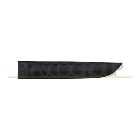 MODANATURA PORTA POSTERIORE SINISTRA-NERA-GOFFRATA MOD. 5 PORTE