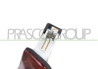 TERZA LUCE STOP-LED OCTAVIA - Mod. 01/17 - 02/20