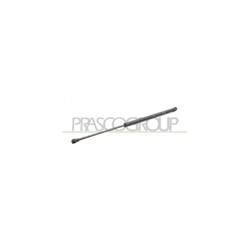 MOLLA A GAS DESTRA PORTELLONE POSTERIORE - 245 N - L 502,5 mm - C 192,5 mm - ? 18 mm - ? 8 mm