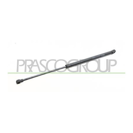 MOLLA A GAS DESTRA PORTELLONE POSTERIORE - 245 N - L 502,5 mm - C 192,5 mm - ? 18 mm - ? 8 mm