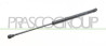 MOLLA A GAS DESTRA PORTELLONE POSTERIORE - 245 N - L 502,5 mm - C 192,5 mm - ? 18 mm - ? 8 mm