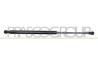 MOLLA A GAS SINISTRA PORTELLONE POSTERIORE - 405 N - L 416 mm - C 155 mm - ? 18 mm - ? 8 mm MOD. CAMBIO MANUALE YARIS - Mod. 09/