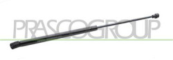 MOLLA A GAS DESTRA/SINISTRA PORTELLONE POSTERIORE - 380 N - L 500 mm - C 205 mm - ? 18 mm - ? 8 mm