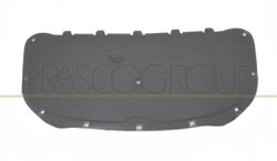 PANNELLO INSONORIZZATORE COFANO TOURAN - Mod. 09/10 - 03/15