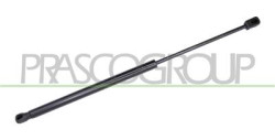 MOLLA A GAS DESTRA/SINISTRA PORTELLONE POSTERIORE - 500 N - L 494 mm - C 192 mm - ? 18 mm - ? 8 mm TIGUAN - Mod. 09/07 - 04/11
