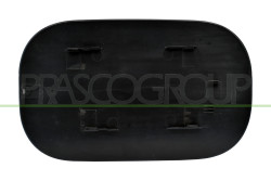 SPORTELLO SERBATOIO MERCEDES - GLE CLASS (W166) AMG - Mod. 04/15 - 01/19