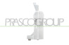 VASCHETTA ACQUA TERGICRISTALLO RENAULT - CLIO - Mod. 09/12 - 08/16