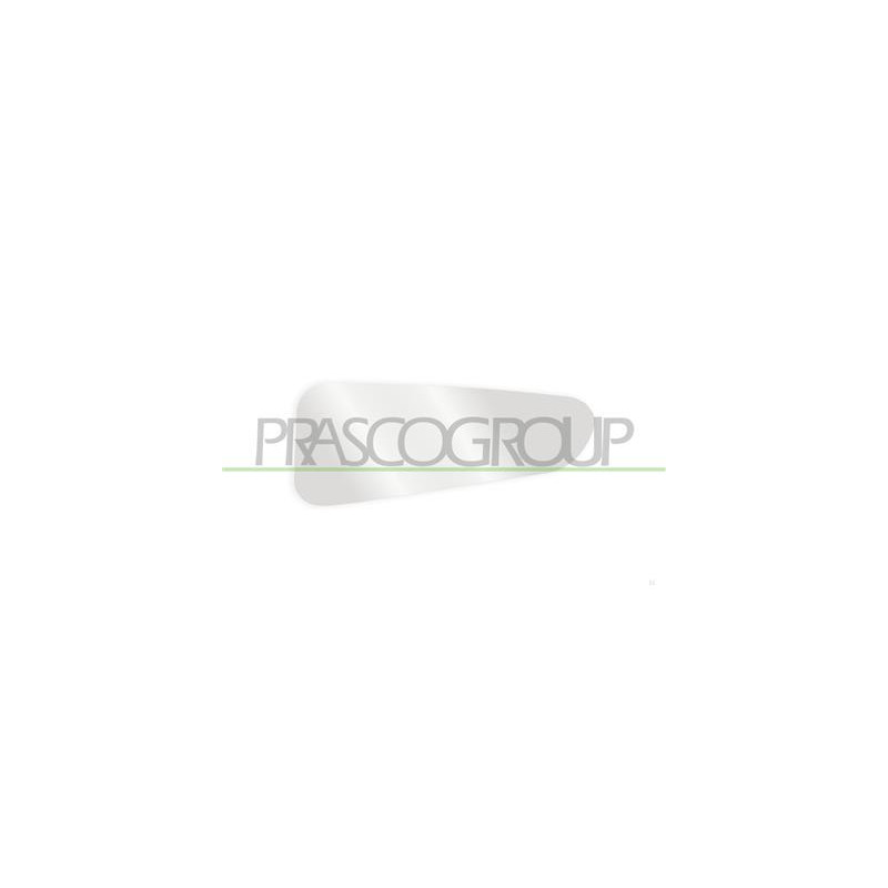 PIASTRA SPECCHIO DESTRA-INFERIORE-CONVESSA FORD - TRANSIT/TOURNEO - CUSTOM (TTF) - Mod. 05/13 - 04/18