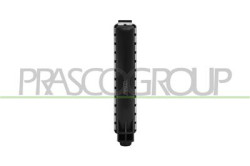 RADIATORE MINI - MINI (BMW) COUNTRYMAN (F60) - Mod. 02/17 - 06/20