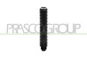 RADIATORE MINI - MINI (BMW) COUNTRYMAN (F60) - Mod. 02/17 - 06/20