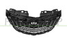 GRIGLIA RADIATORE-NERA MOD. 21  LANCIA - YPSILON - Mod. 09/15 - 01/24