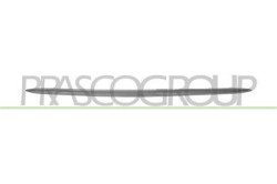MODANATURA PARAURTI ANTERIORE-CENTRALE-CROMATA MERCEDES - V CLASS (W447) AMG LINE - Mod. 03/19 -
