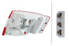 LUCE POSTERIORE 2SK SKODA - OCTAVIA - Mod. 05/13 - 12/16