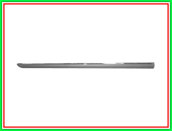 MOD.PORTA A.S.PUNTO EVO 09-12 PRIM.