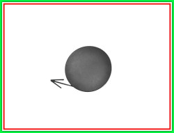COPRIG.PAR.P.QASHQAI 07-14 *TUV*